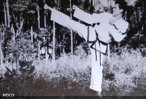Grand Master Hwang Ho Yong