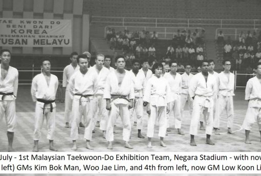Grand Master Low Koon Lin — The Untold Story