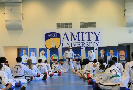 17th UAE ITF TAEKWON‑DO Technical Seminar