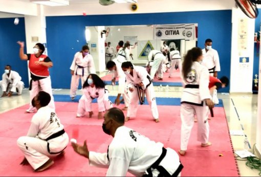 Teaching Methodology Workshop in Taekwon‑do ITF
