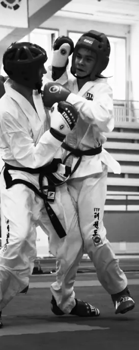 HISTORY OF TAEKWON‑DO