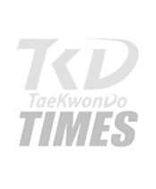 Oficial ITF partner logotype