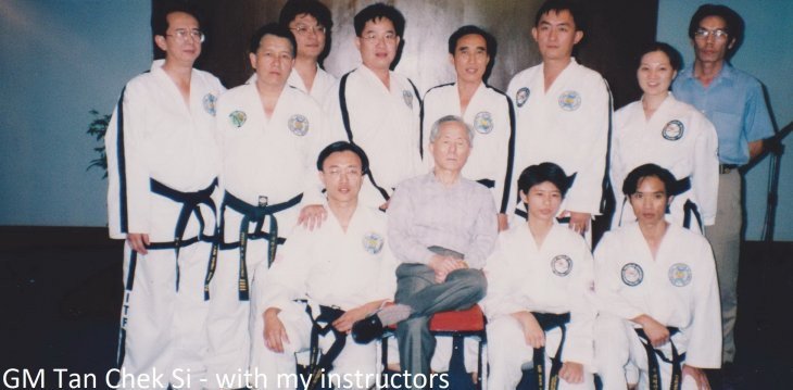 Grand Master Tan Chek Si